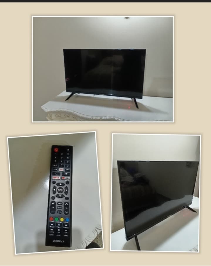 TV 