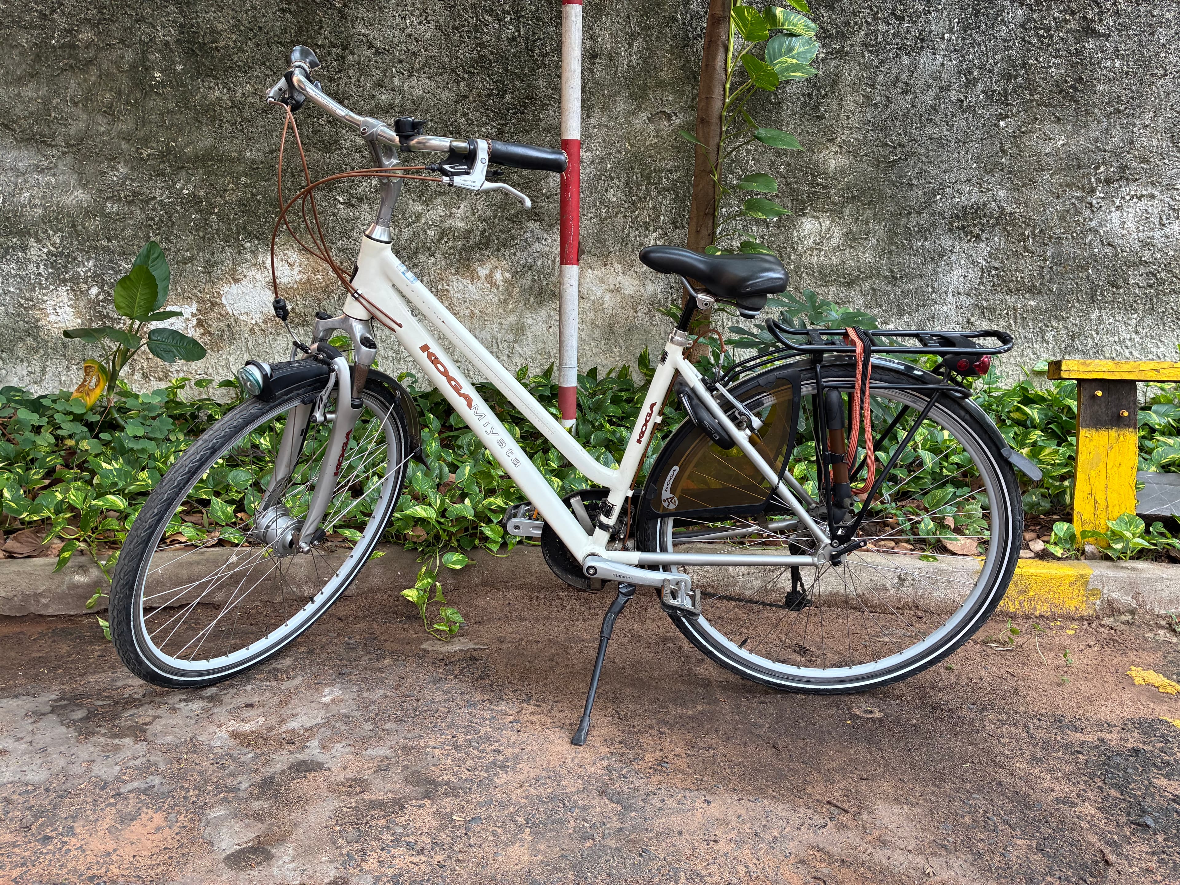 Bicicleta