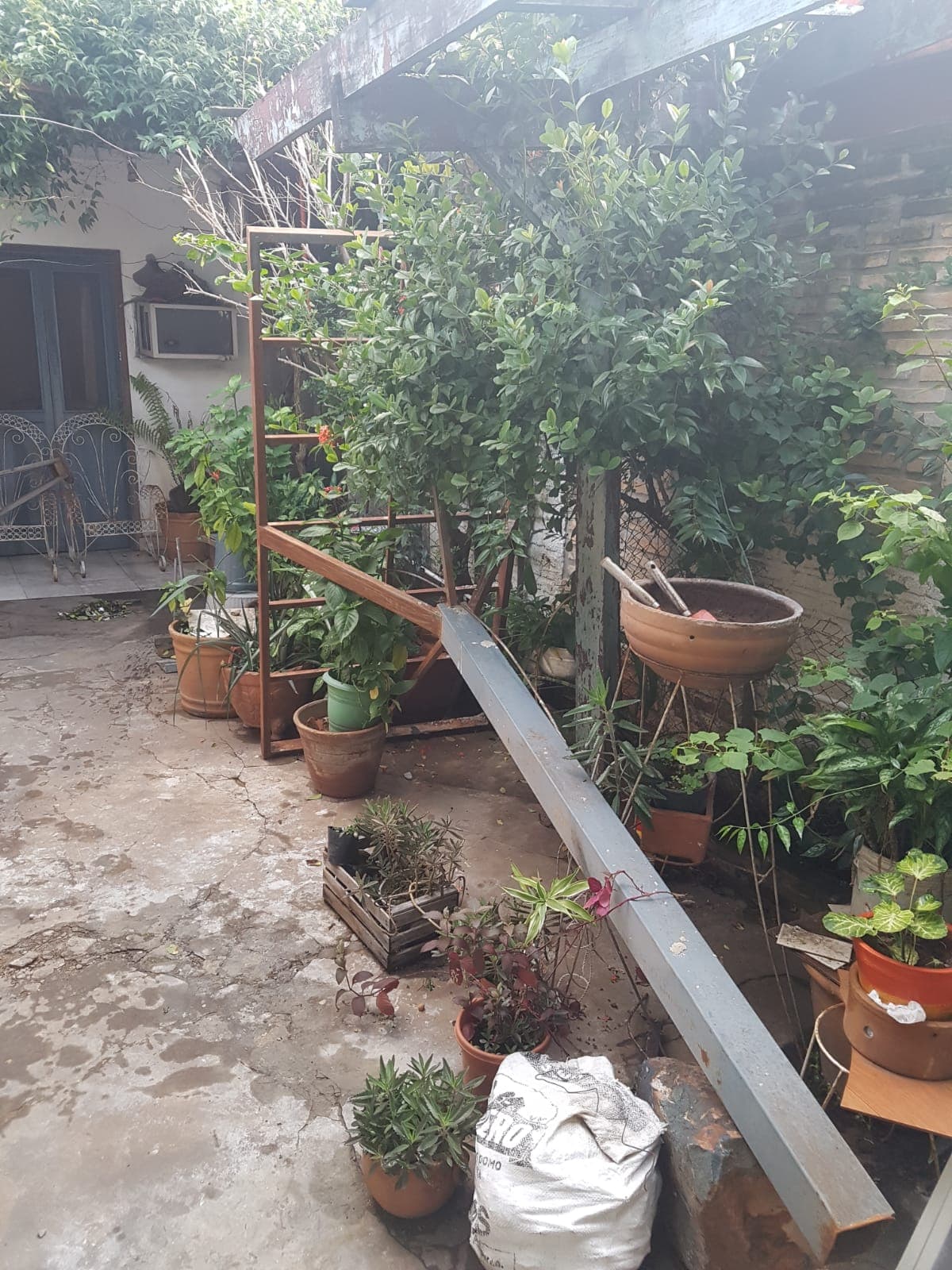 Pérgola de hierro macizo