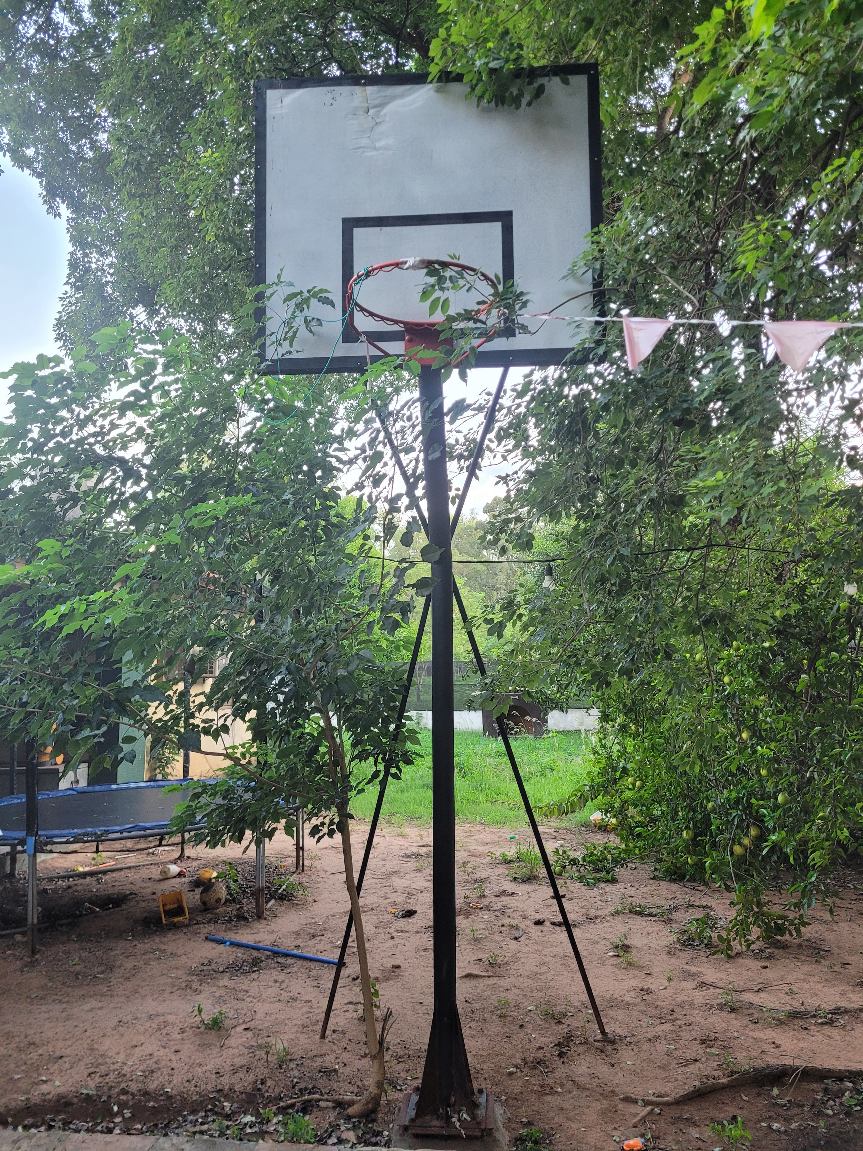Aros y soporte basquet