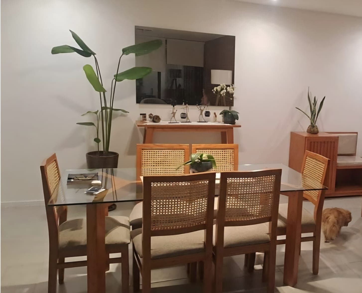 Juego de comedor, madera maciza